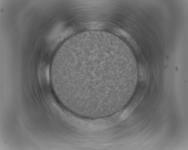 X0000062900028200602031843