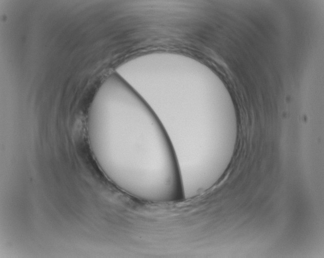 X0000062900029200602031843