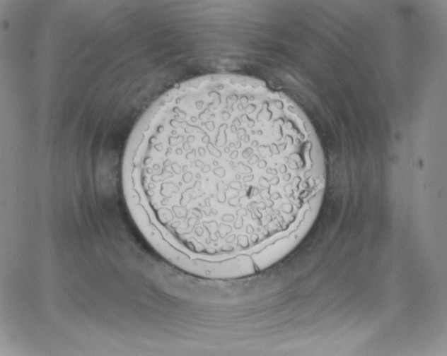 X0000062900030200602031843