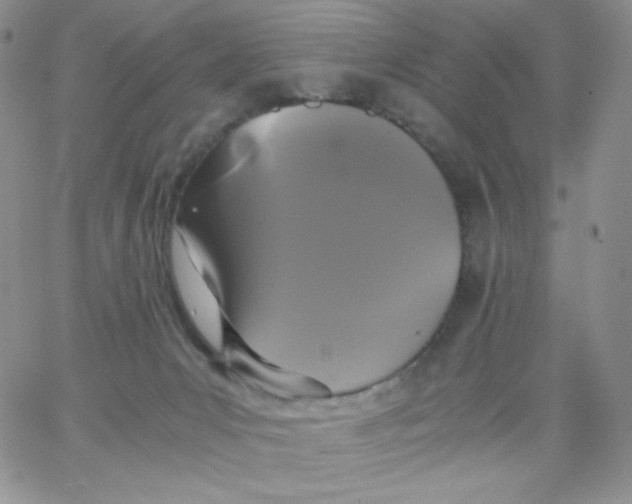 X0000062900031200602031843