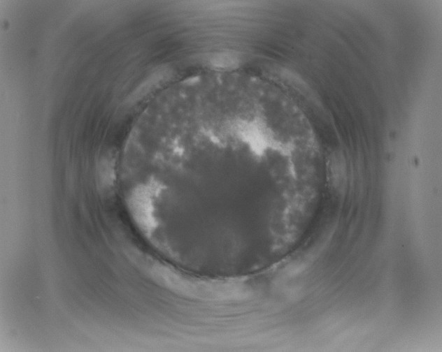 X0000062900032200602031843