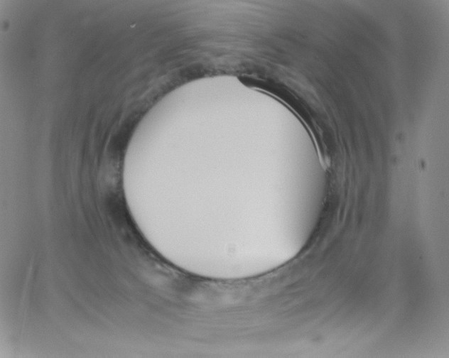 X0000062900033200602031843