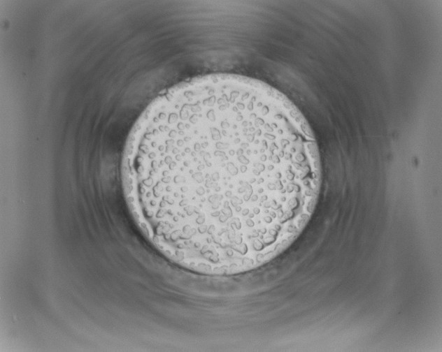 X0000062900034200602031843