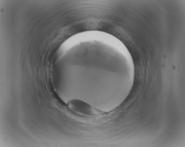 X0000062900035200602031843