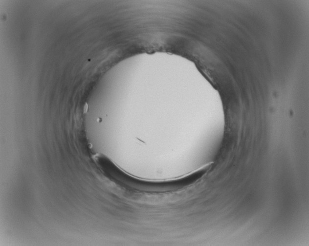 X0000062900037200602031843