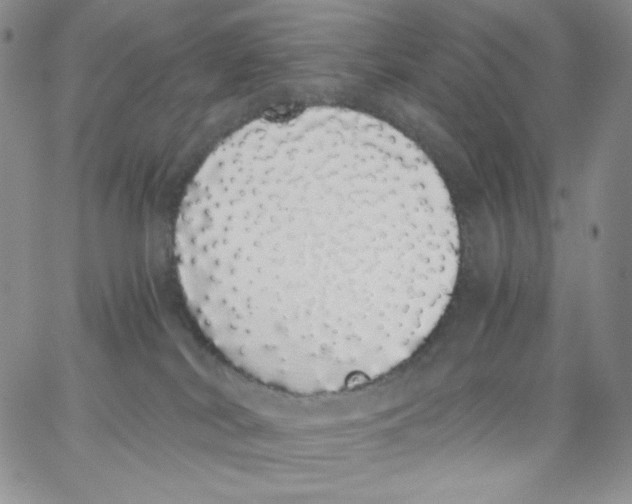 X0000062900038200602031843