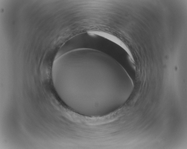 X0000062900039200602031843