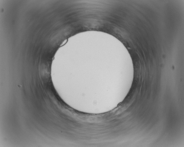 X0000062900040200602031843