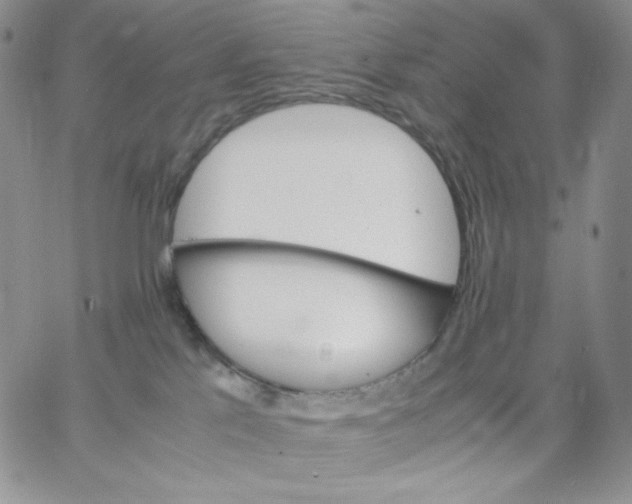 X0000062900041200602031843