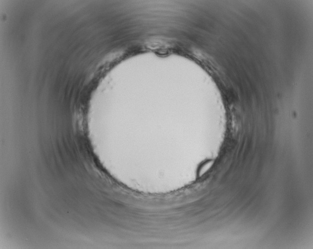 X0000062900042200602031843