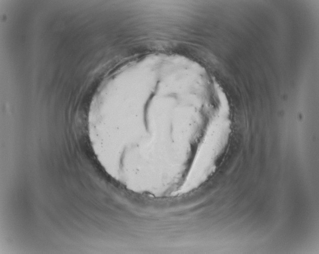 X0000062900043200602031843