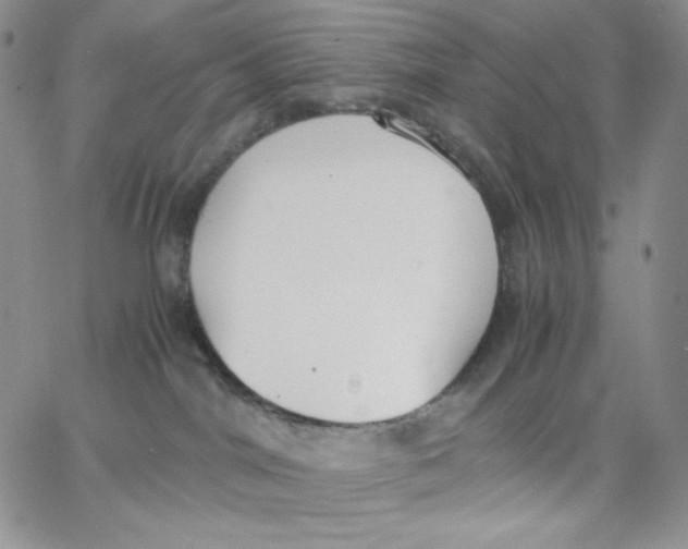 X0000062900044200602031843