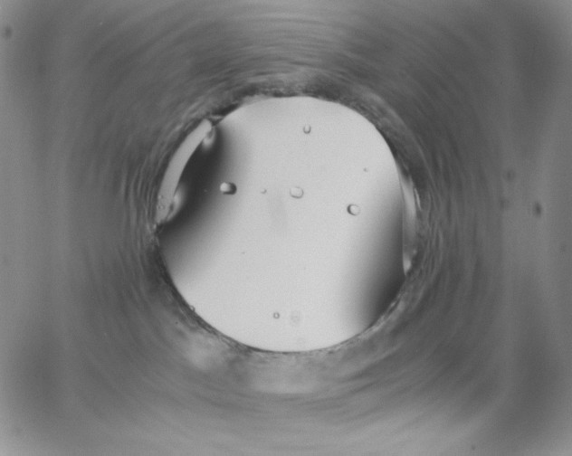 X0000062900045200602031843