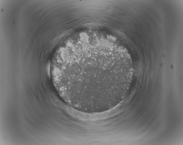 X0000062900047200602031843