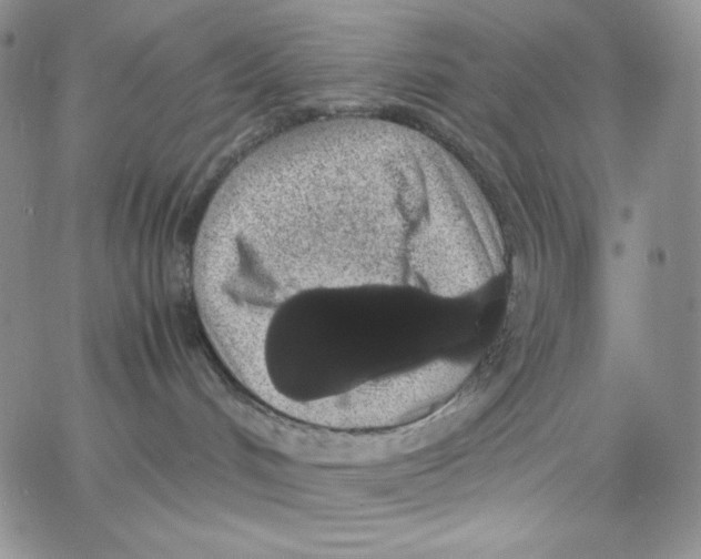 X0000062900048200602031843