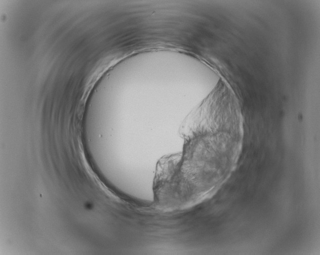 X0000062900049200602031842