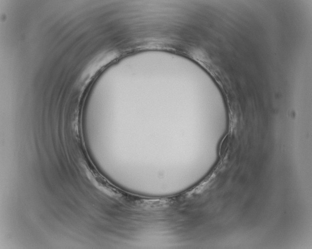 X0000062900050200602031842