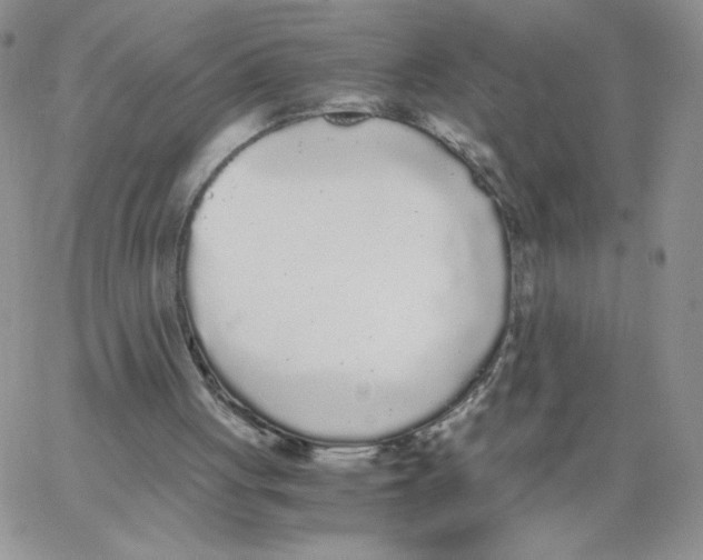 X0000062900051200602031842