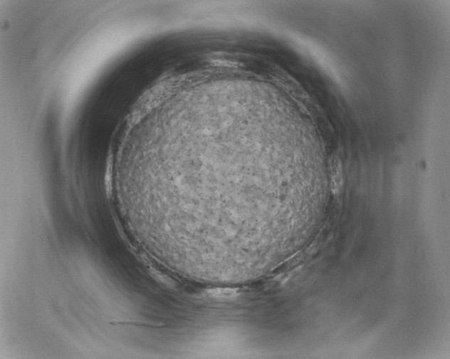 X0000062900052200602031842