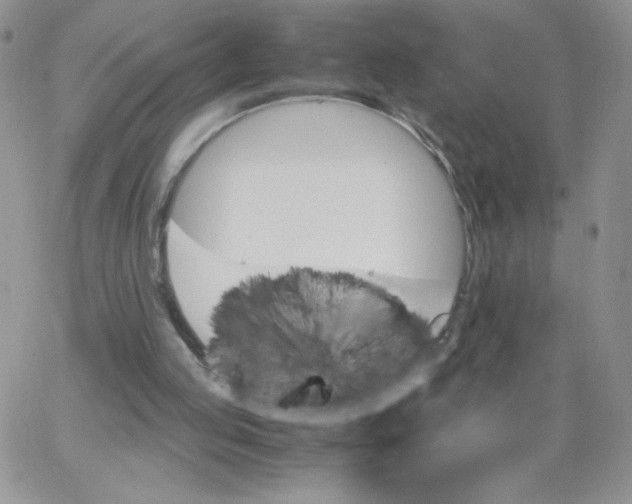 X0000062900053200602031842