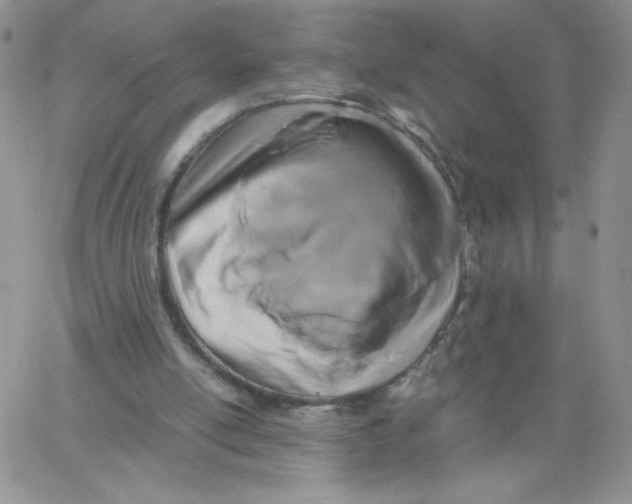 X0000062900054200602031842