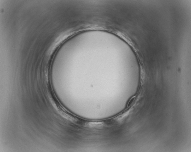 X0000062900055200602031842