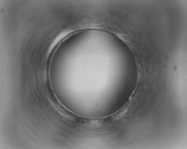 X0000062900056200602031842