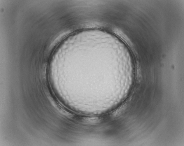 X0000062900058200602031842