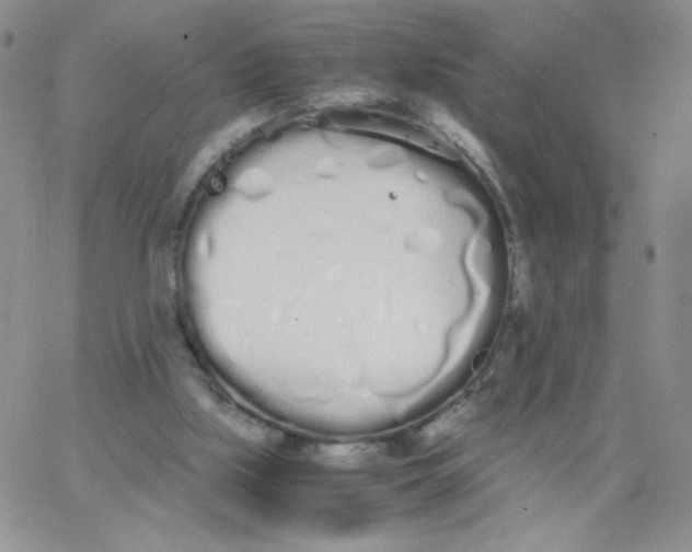 X0000062900059200602031842