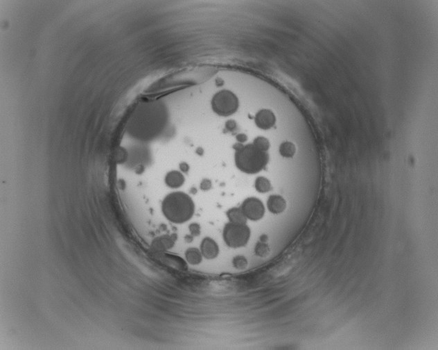 X0000062900060200602031842