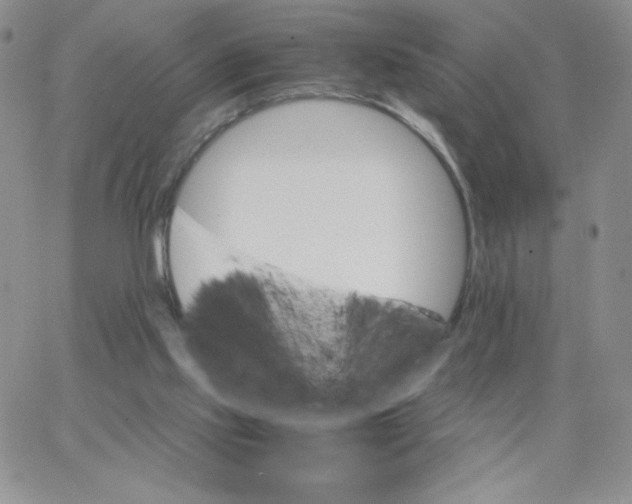 X0000062900061200602031842