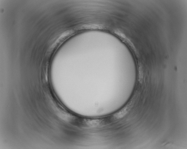 X0000062900062200602031842