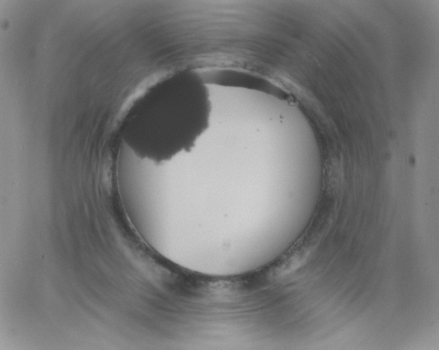 X0000062900064200602031842