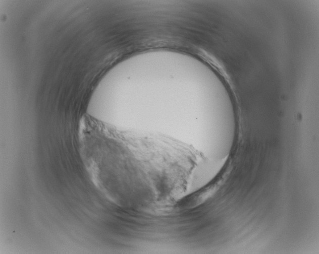 X0000062900065200602031842