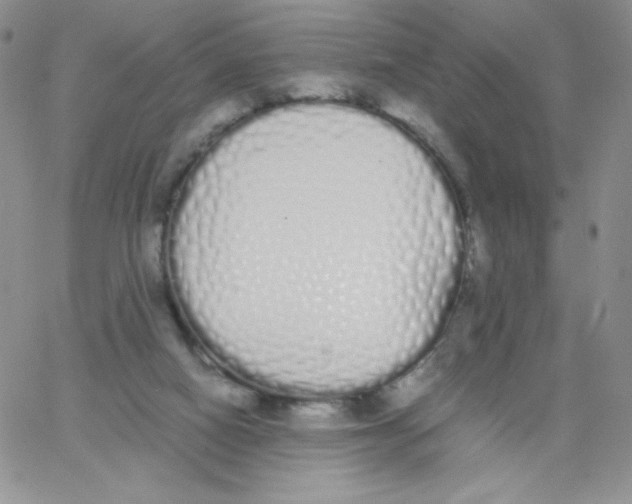 X0000062900066200602031842