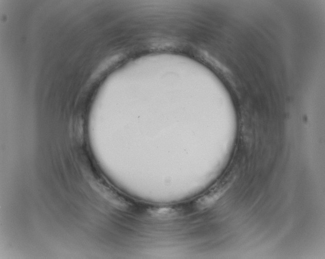 X0000062900067200602031842