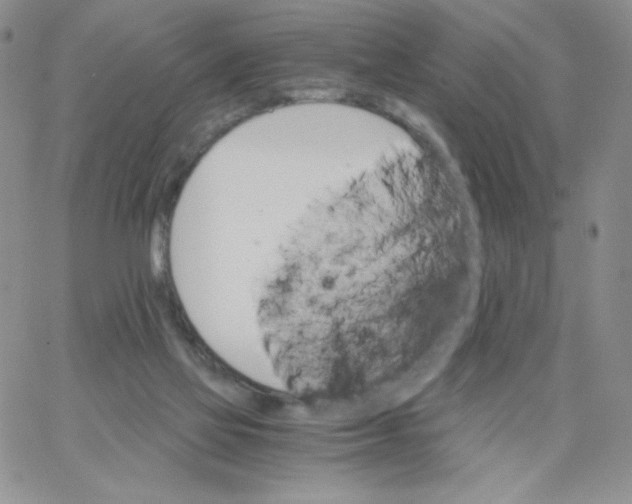 X0000062900069200602031842