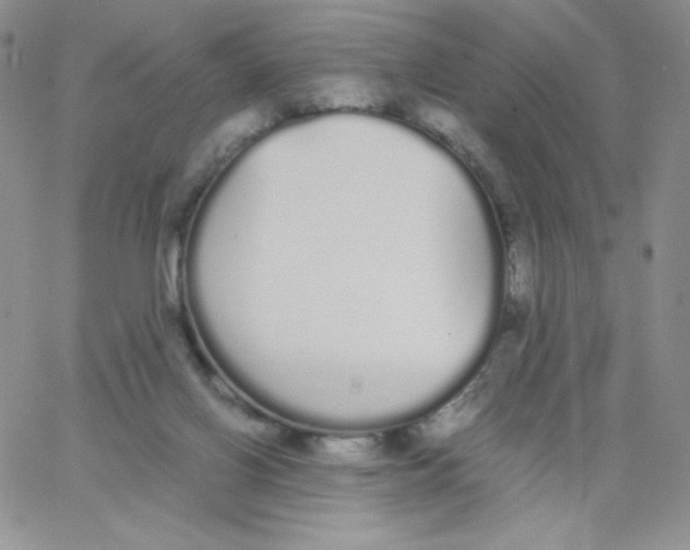 X0000062900070200602031842