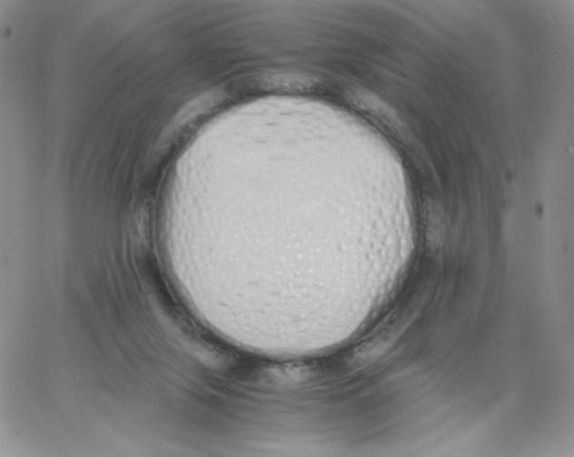 X0000062900071200602031842