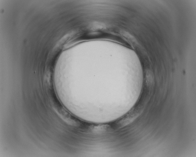 X0000062900072200602031842