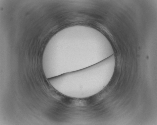 X0000062900073200602031842