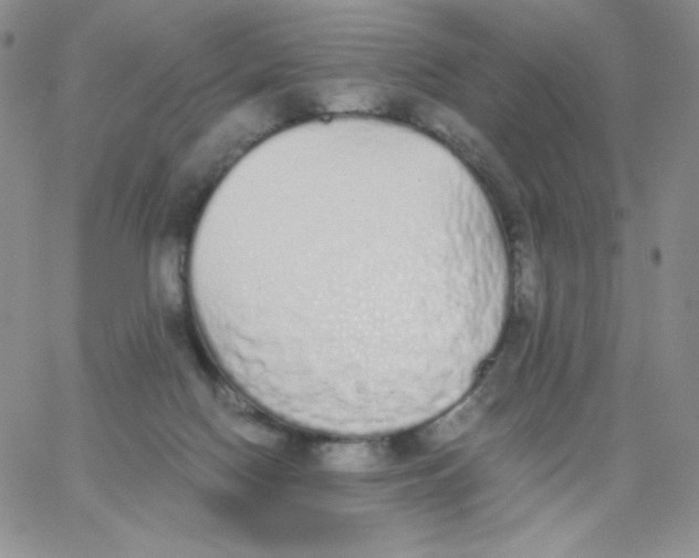 X0000062900074200602031842