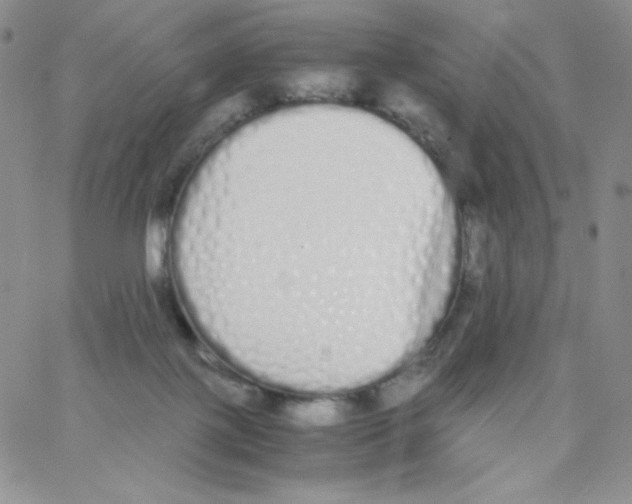 X0000062900075200602031842