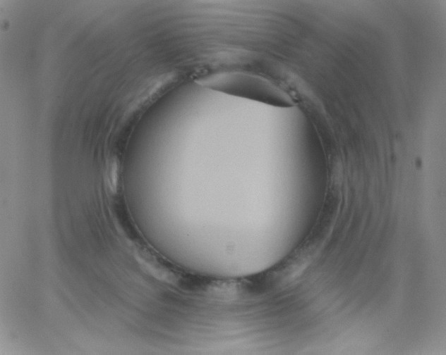 X0000062900076200602031842