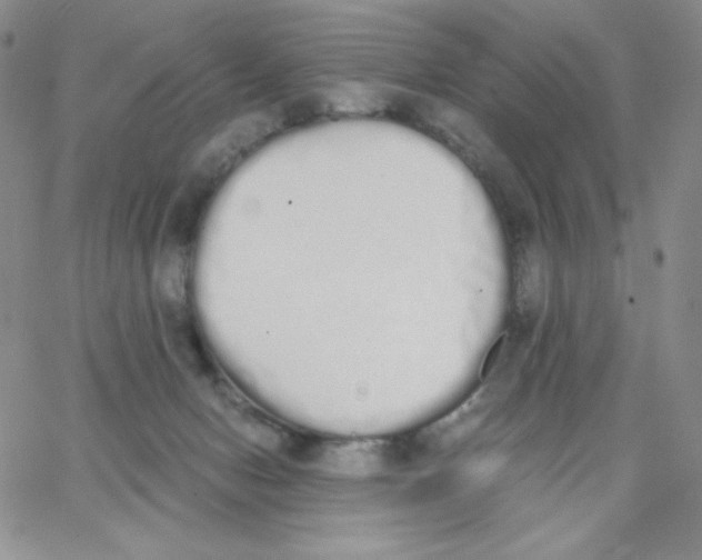 X0000062900078200602031843