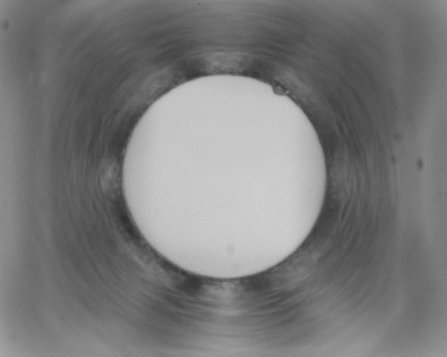 X0000062900079200602031843