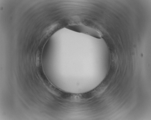 X0000062900080200602031843