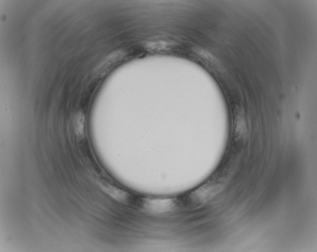 X0000062900081200602031843