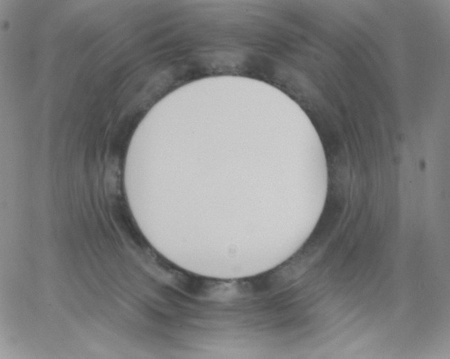 X0000062900083200602031843