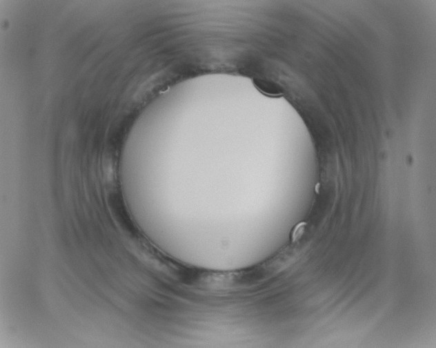 X0000062900084200602031843